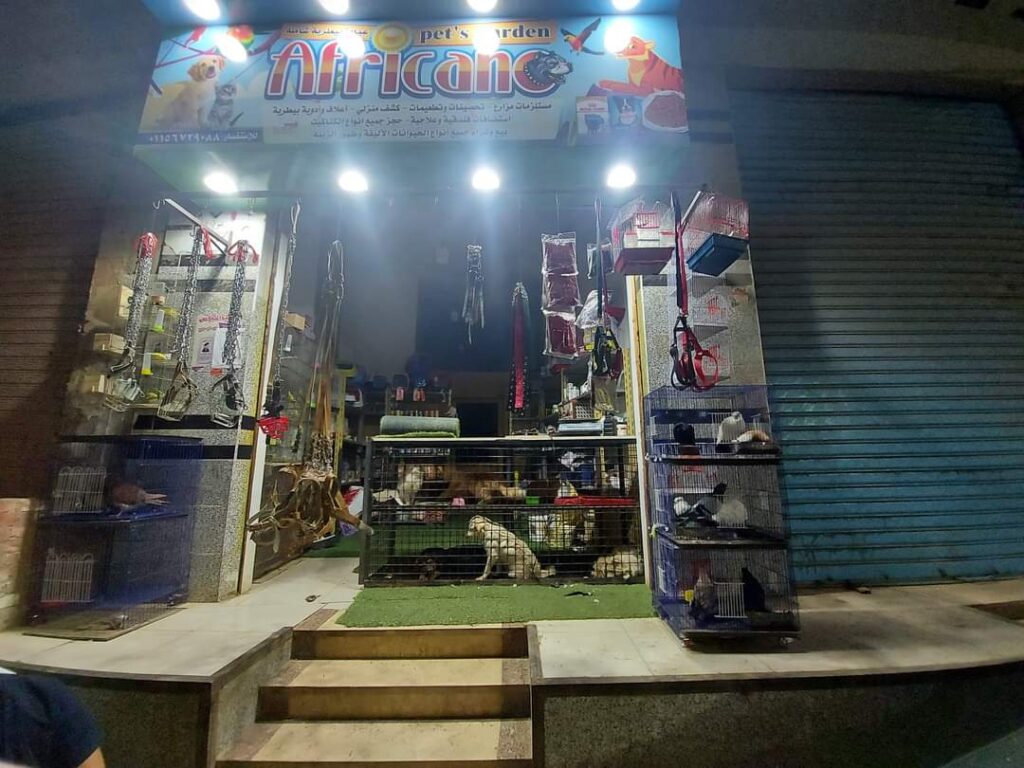 Africano pets garden