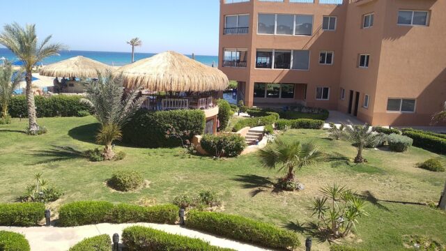 Google Photo 2