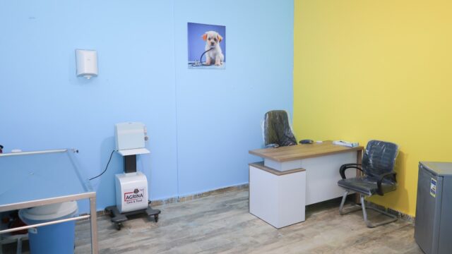 Google Photo 3