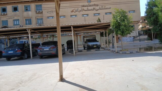 Google Photo 8