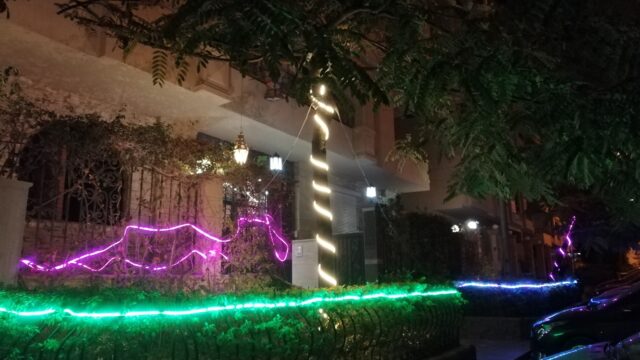 Google Photo 5
