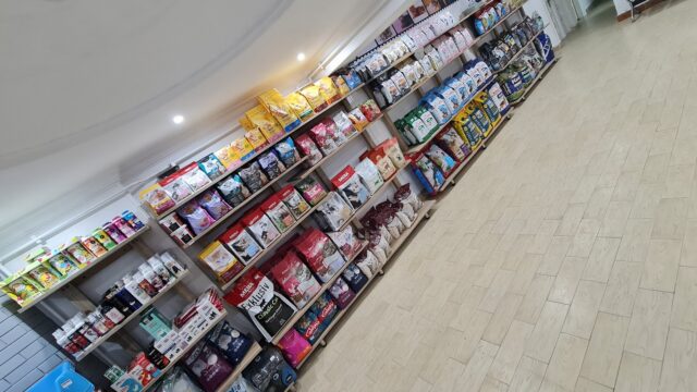 Google Photo 1