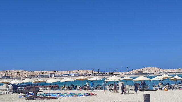 Google Photo 5