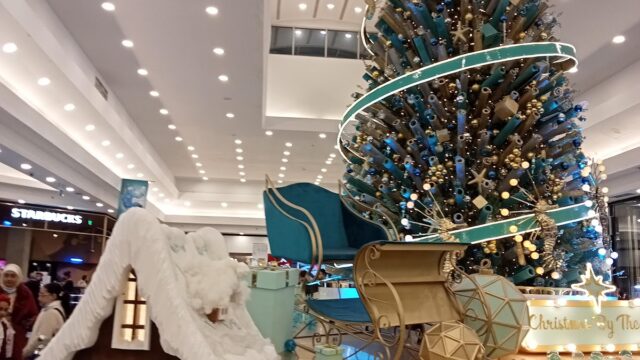 Google Photo 2