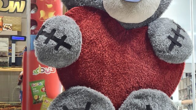 Google Photo 4