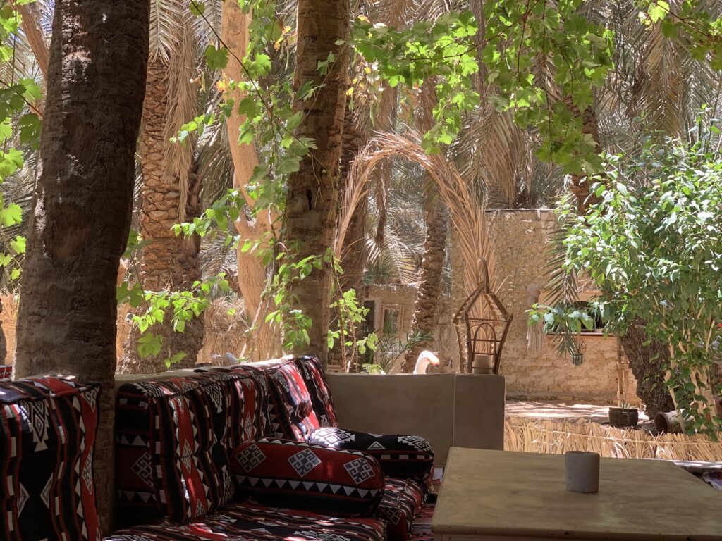مطعم OLA مطعم عُلا