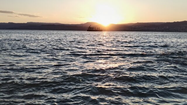Google Photo 5