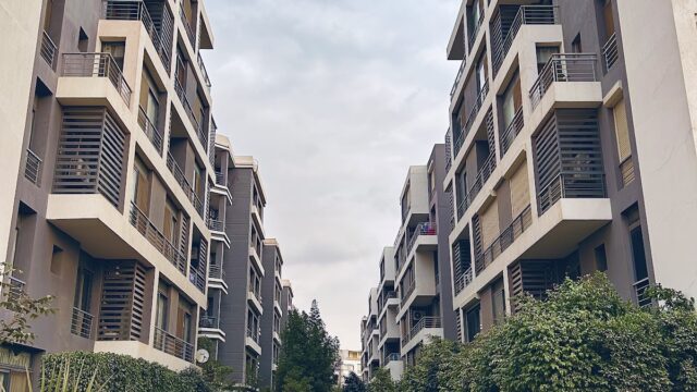 Google Photo 1