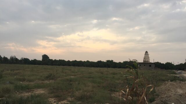 Google Photo 3