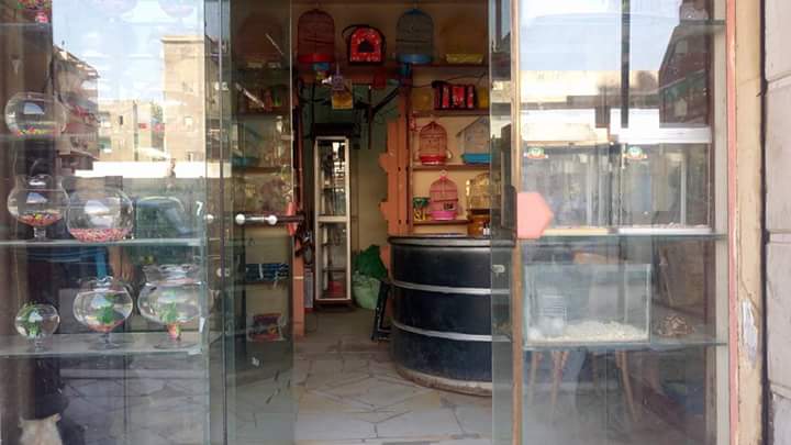 Houda fish and ornamental birds