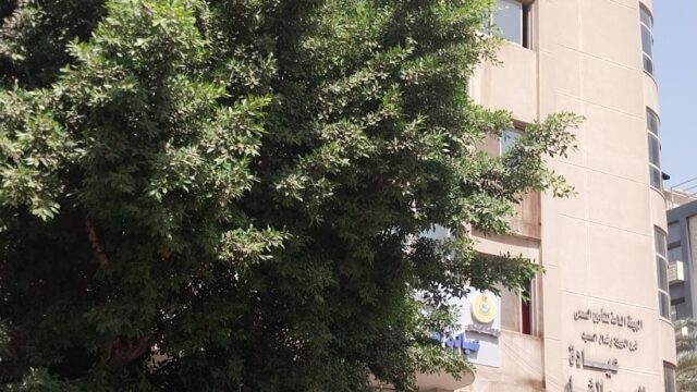 Google Photo 9