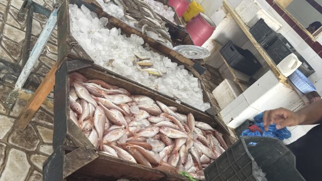 Google Photo 3