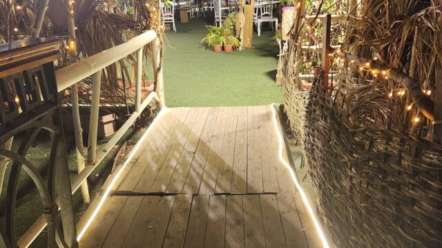 Google Photo 5