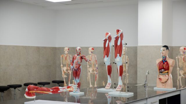 Google Photo 5