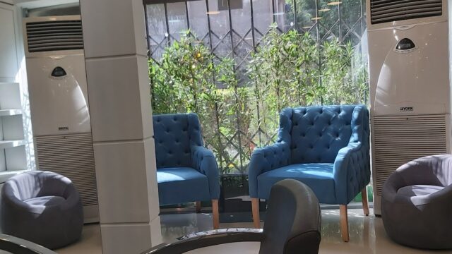 Google Photo 2