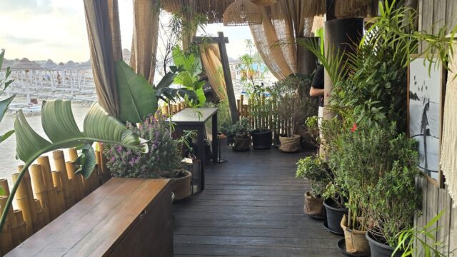 Google Photo 1