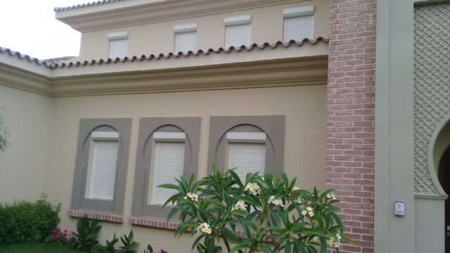 Google Photo 1