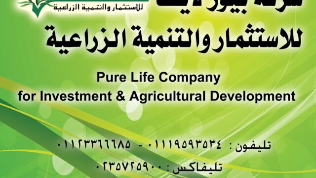 Google Photo 3