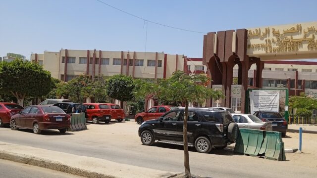 Google Photo 5