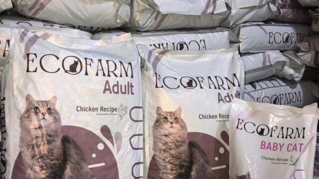 Google Photo 2