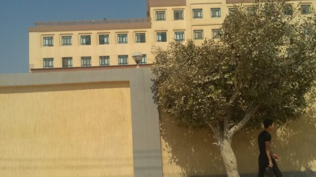 Google Photo 5