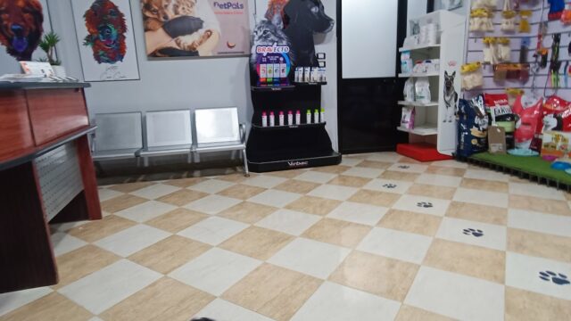 Google Photo 1