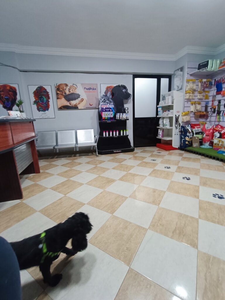PetPals