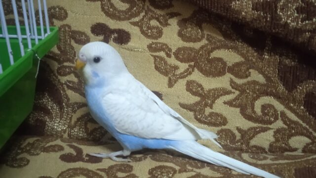 Google Photo 3