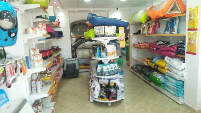 Google Photo 2