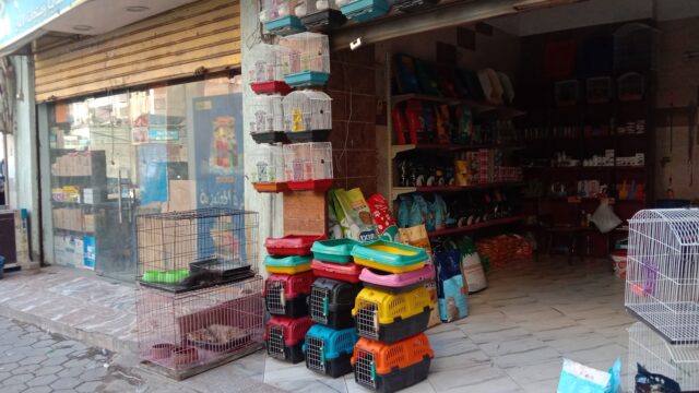 Google Photo 1