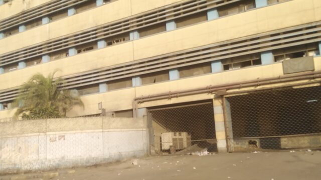 Google Photo 5