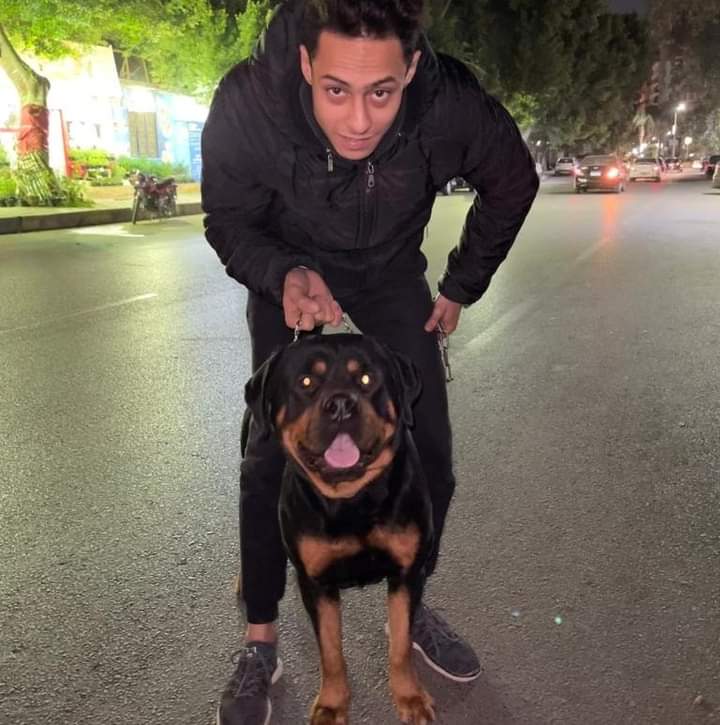 Mohamed Elomda