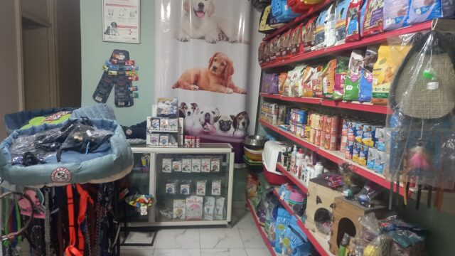 Google Photo 2