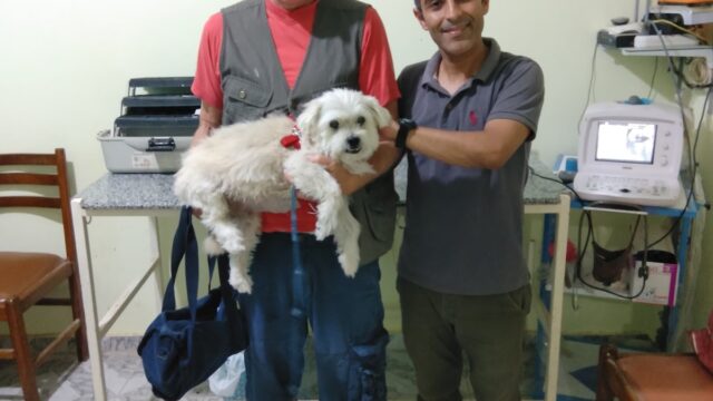 Google Photo 5