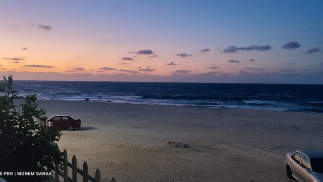 Google Photo 5