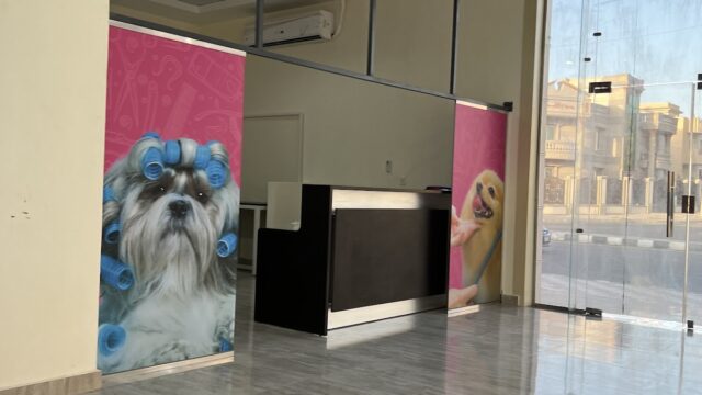 Google Photo 2