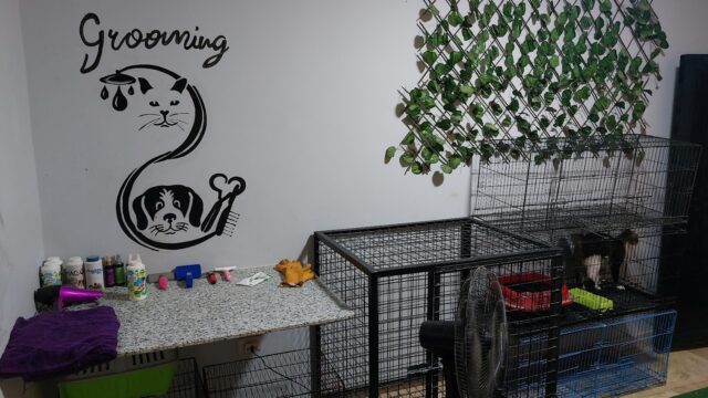 Google Photo 1
