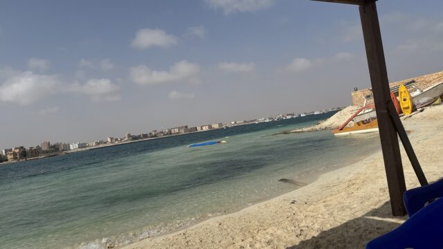 Google Photo 2