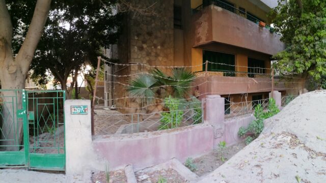Google Photo 1