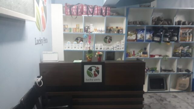 Google Photo 2