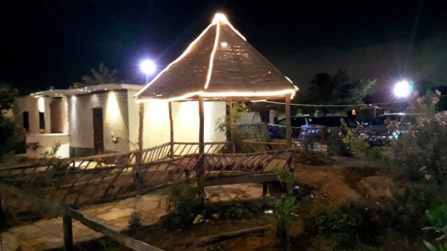Google Photo 3