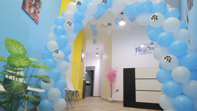 Google Photo 1