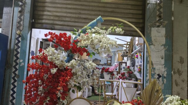 Google Photo 5