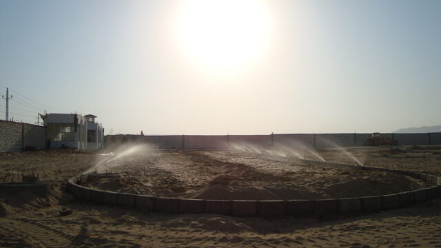 Google Photo 2