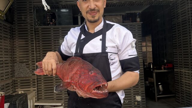 Google Photo 3