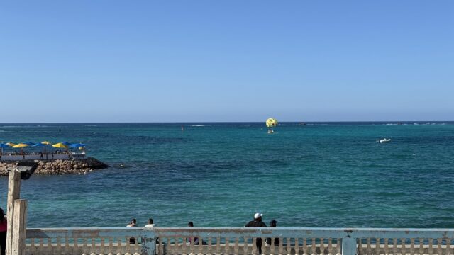 Google Photo 3