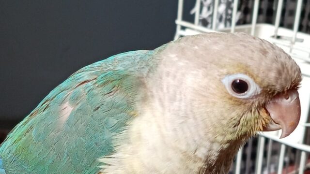 Google Photo 3