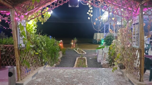 Google Photo 1