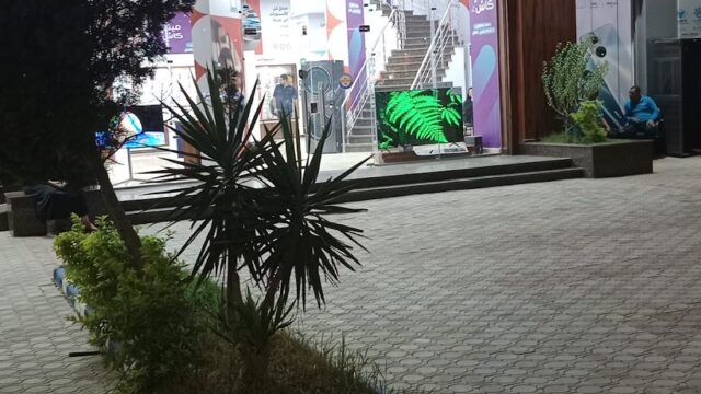 Google Photo 3
