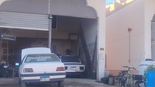 Google Photo 2